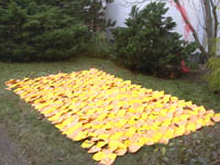 guentherstr.6.jpg guentherstr.7.jpg guentherstr.8.jpg guentherstr.9.jpg guentherstr.10.jpg guentherstr.2a